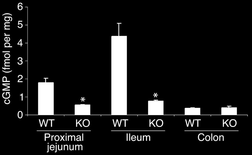 Figure 5 cgmp levels in epithelia from the proximal jejunum, ileum, and colon. Levels of cgmp were approximately 2.