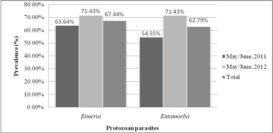 05% and cestode showed the least prevalence rate with 18.60% (fi g. 3) FIG. 3. Class-wise prevalence of gastrointestinal parasites in Red panda.