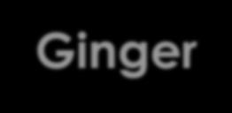 Ginger Ginger (Zingiber officinale) is a