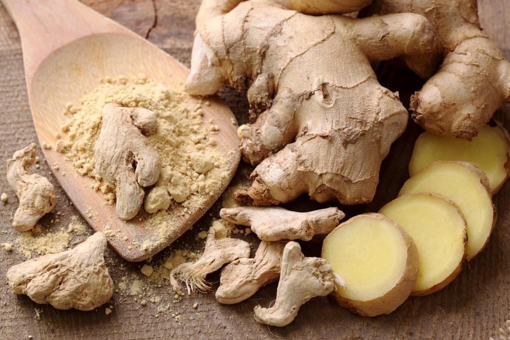 Ginger likely originated as ground flora of