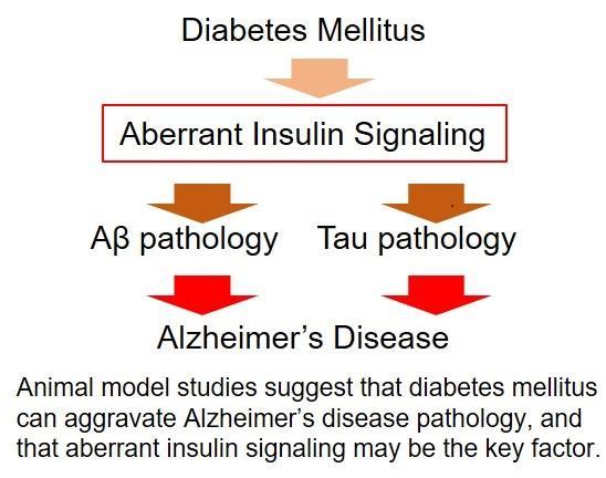 Diabetes Mellitus Induces Alzheimer s Disease Pathology: Histopathological Evidence from