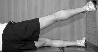Hold this position for three to five seconds then lower the leg to the starting