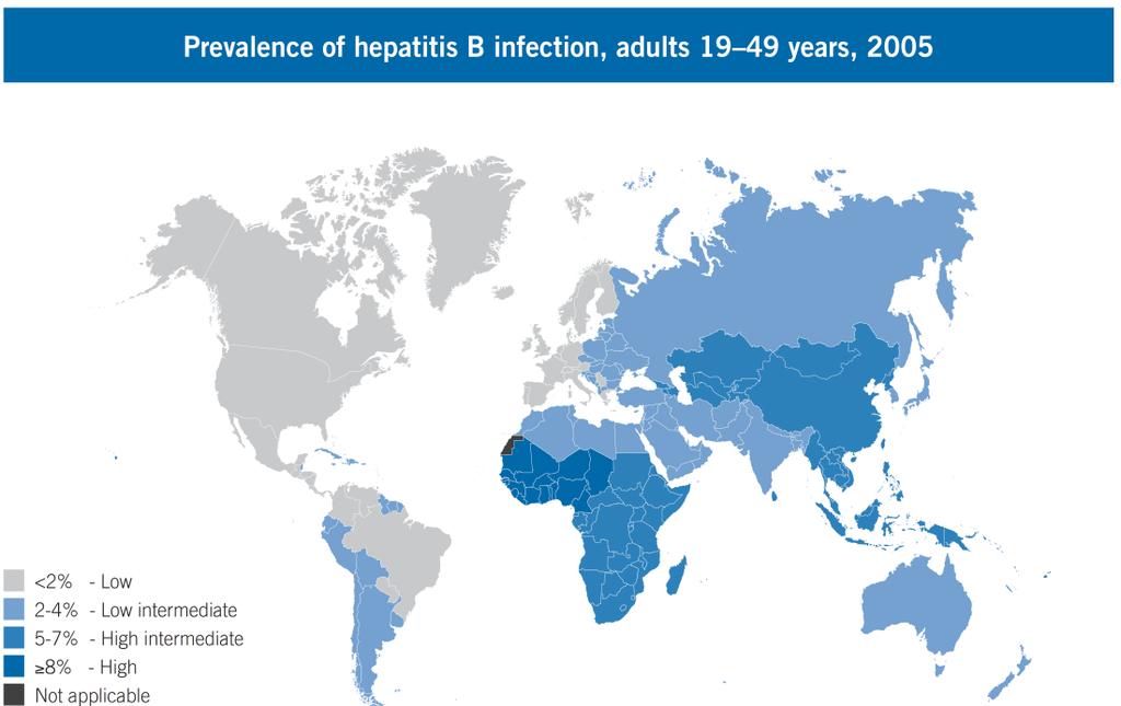 Global epidemiology of Hepatitis B infection 240 million people around the world infected with HBV 680,000 die every year due to hepatitis B Children 5 9 years, 2005 Adults 19 49 years,