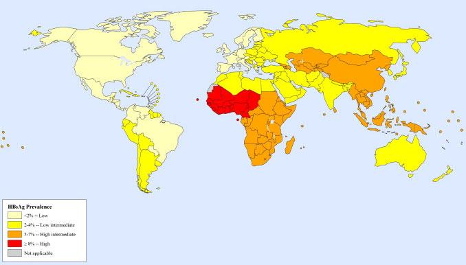 240 million of adults 19 49 years of age living with HBV infection (HBsAg) worldwide, 2005