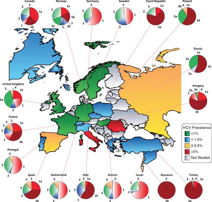 Anti-HCV prevalence: Russia: 4.1% Romania: 3.2% Slovakia: 1.5% Bulgaria: 1.3% Poland: 0.9% Hungary: 0.8% Czech R: 0.