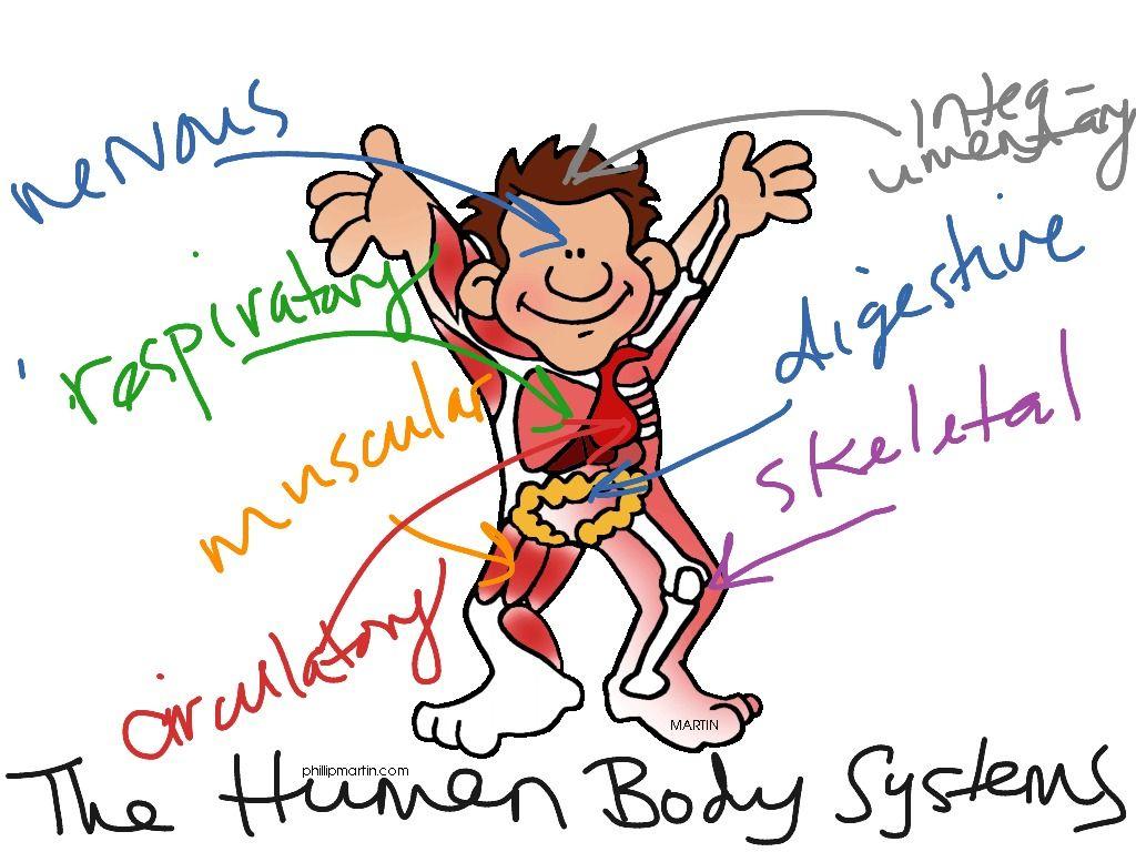 Human Body Systems Pre-AP Project Congratulations! You have surpassed enough biology curriculum this school year that you are ready to become the teacher for a day!