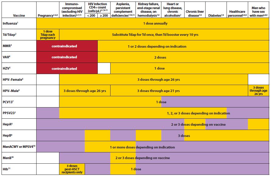 Schedule for Adults (19 Years +) by Medical or Other Indication Recommended Immunization Schedule for Adults Aged 19 Years or Older.