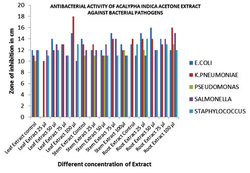 Antimicrobial Assay: (Table 4, graph 1) TABLE 4: ANTIBACTERIAL ACTIVITY OF ACALYPHA INDICA ACETONE EXTRACT AGAINST BACTERIAL PATHOGENS Concentration of extract (Zone in cm) S. No.