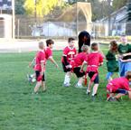 4-7 pm and continues August 6-16 LITTLE REDS & YOUTH FLAG FOOTBALL Little Reds and Youth Flag Football