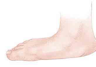 The podiatrist can teach parents these exercises to help straighten out a baby s feet. The exercises take minutes a day.