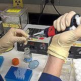 Toxicology Test for toxic substance in blood Monitors therapeutic
