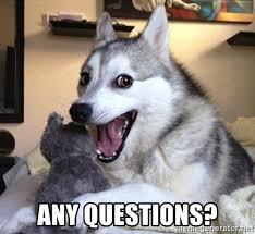 Slide 15: Final Questions Before Touch Signals? Figure 12 Picture of a dog making a funny face with text that says "any questions" Slide 16: What are Touch Signals?