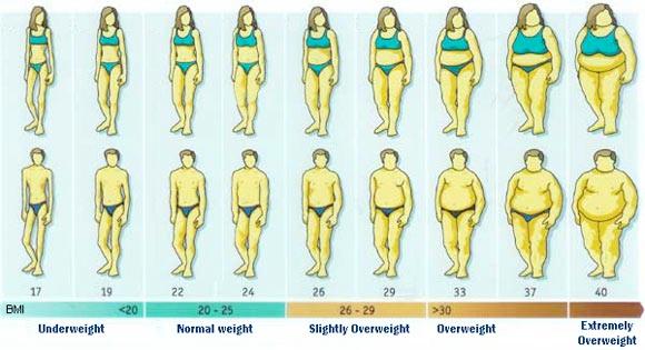 Overweight Body weight that exceeds the recommended guidelines for good health Obesity Body weight that greatly exceeds the recommended