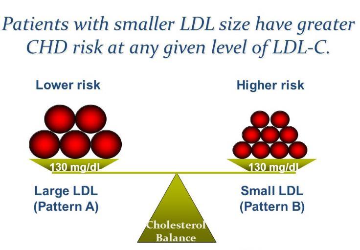 The discussion shifts towards small dense LDL