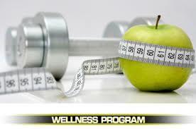 Is our wellness program reducing risk or