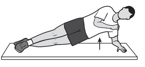 8. Modified Side Plank Quadratus lumborum, external oblique rotators, internal