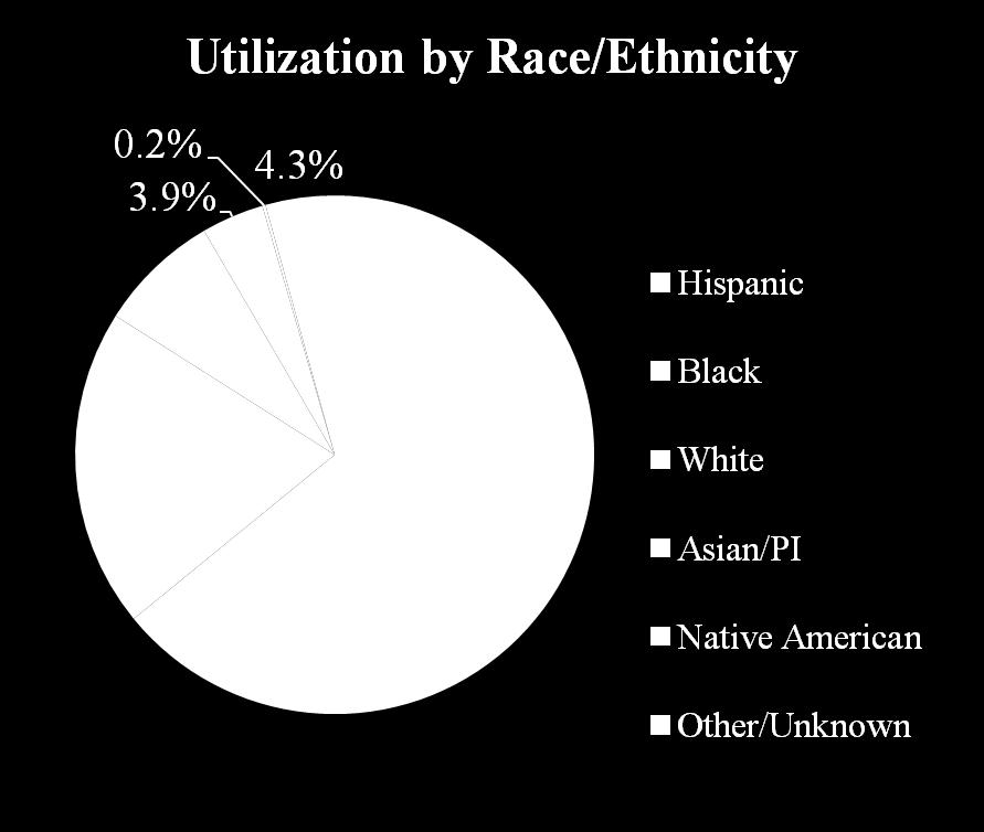 Patient Demographics: RACE/ETHNICITY Number of Patients (FY 2012-13) Race/Ethnicity Number Percent Hispanic 18,956 64.