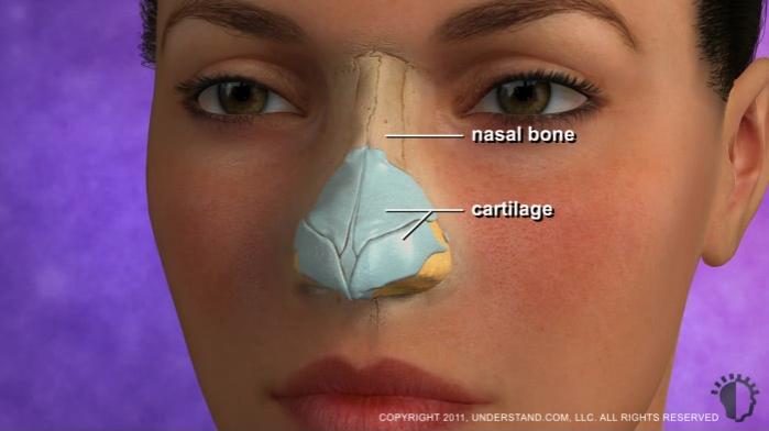 In addition, nose reshaping may be performed to correct a nasal birth defect, an injury, or to improve breathing problems. Rhinoplasty may be performed using an open or closed method.