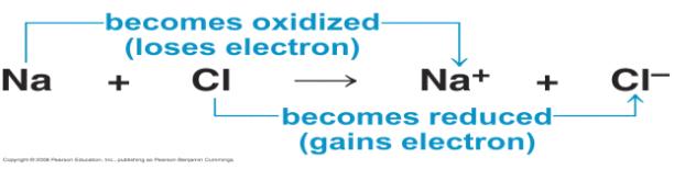 Example of redox reaction: We could generalize a redox reaction this way: Xe-, the electron donor, is called the reducing agent; it reduces Y, which accept
