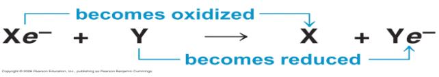 Not all redox reaction involve the complete transfer of electrons from one substance to another; some change the degree of electron sharing in covalent