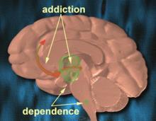 Psychological dependence: condition in which a person believes that a drug