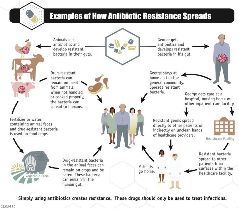 Antibiotics: -Destroy bacteria -Kill bacteria -Prevent bacteria from reproducing -MUST finish all of prescription -Overuse can cause bacteria
