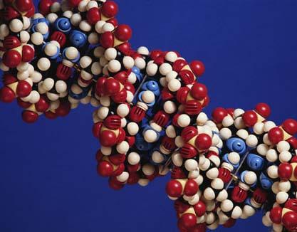 DNA Detect gene mutations in tumor cells sloughed