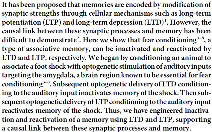 Background: Long-term modification of synaptic strength (LTP & LTD) has long been postulated to encode memory. However, the causal link between LTP/LTD and memory has been difficult to demonstrate.