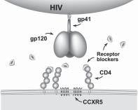 Page 6 of 8 Seventy-two people with an average viral load of about 100,000 copies HIV RNA and CD4+ cell counts of 100 participated in this study.