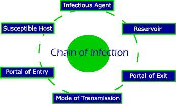 MECHANISM OF DISEASE CHAIN OF INFECTION The diagram abve is a mdel used t understand the infectin prcess.