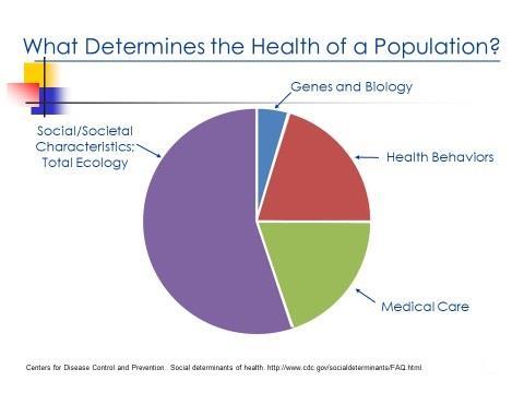 Health Determinants Genes and bilgy Health behavirs Scial and scietal characteristics Access t and use f health services and medical care (frm CDC-Public Health 101 Series) This chart is an estimate