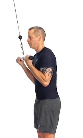Workout one EXERCISE REVERSE PUSHDOWN 1.