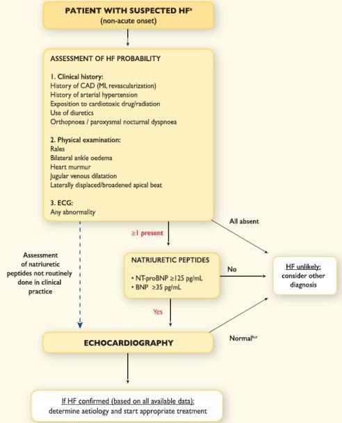 ECG 2) Consider other disease/comorbidities CAD COPD Obesity Sarcopenia Anemia 3)