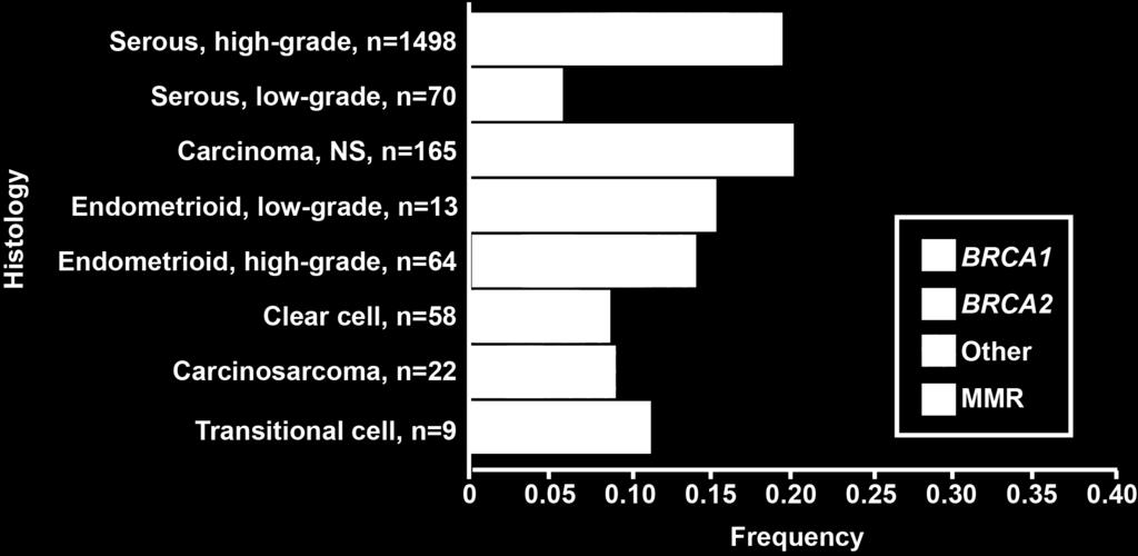 Other indicates the genes BRIP1, PALB2, RAD51C, RAD51D, and BARD1; MMR indicates