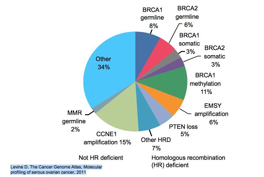 Non-HRD HRD Approximately 20-25% of ovarian cancer patient have a deleterious germline or somatic mutation in the BRCA1 or BRCA2 gene BRCA 1 and 2