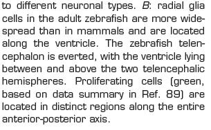 vertebrates (fish,