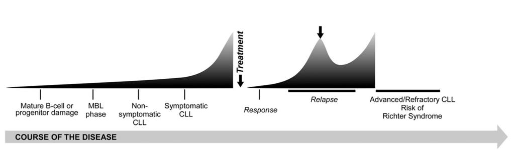 CLL: HOMOGENEOUS PHENOTYPE BUT HETEROGENEOUS CLINICAL COURSE Adapted from: Genomic and