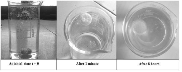 Figure 5: Buoyancy study at different time intervals Figure 6: In vitro dissolution studies of tablet layers of RAN (R1-R3) Figure 7: In vitro dissolution studies of tablet layers of RAN (R4-R6)