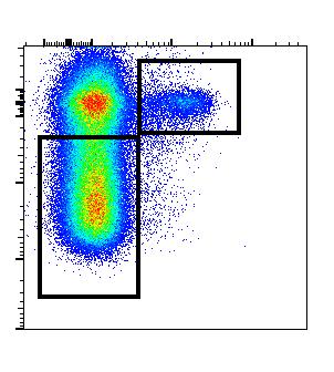 (a) T reg population (CD + CD + Fox + ) in the IELs of the small intestine of and analyzed by flow cytometry.