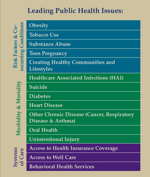 Leading Health Issues Risk Factors and Co- Occurring