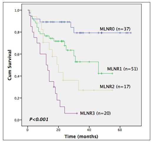 Five-year survival was correlated with the number of metastatic lymph nodes, and the difference between the groups was statistically significant (P<0.