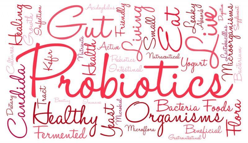 Probiotics One issue with antibiotic treatment is anti-biotic resistance One review study looked at the use of probiotics as either a adjunct with antibiotics or on its own and