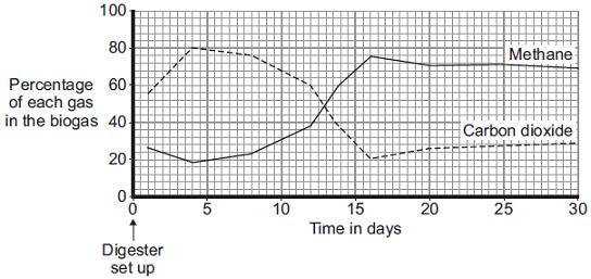 (b) The graph shows how the composition of the biogas produced by the digester changed over the first 30 days after the digester was set up.