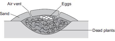 Q8.Most birds sit on their eggs to keep them warm until they hatch.