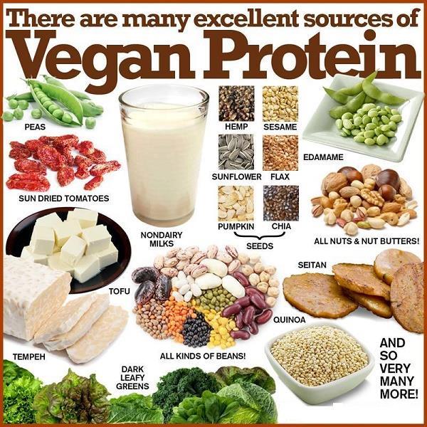 Setting Proteins Goals 2 Types of Protein: 1. Complete protein that comes from animal Sources. It contains ALL 9 essential Amino Acids (meat, fish) 2.