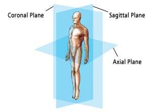 Frontal or Coronal Plane Median or Sagittal Plane Transverse or Axial Plane Meaning Divides the front and back halves of the entire body.