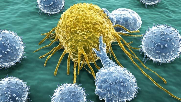 Aims of Cancer Immunotherapy Block immunosuppressive mechanisms Increase the function of endogenous anti-tumour T cells to develop clinically