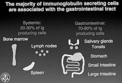 Defects in Innate Immunity in IBD Intestinal Barrier