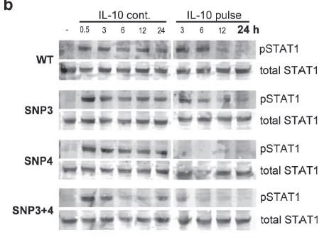 IL10R1-G330R alters duration of STAT