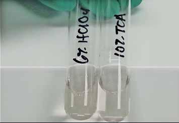 Final Sample Preparation Method Pretreatment: Add 0.5 ml whole blood (with EDTA preservative) into a glass tube Add 00 μl 5 % (w/v) ZnSO 4 and vortex 3-5 sec Add.